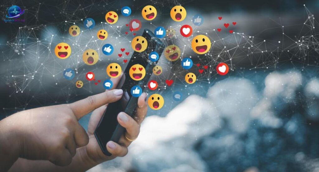 Social Media and Fan Curiosity